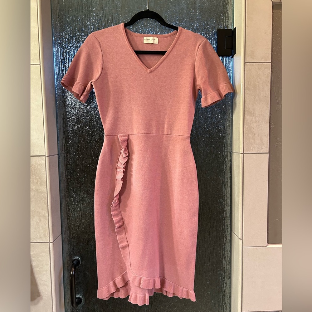 Rachel Parcell Blush Dress with Ruffle Detail